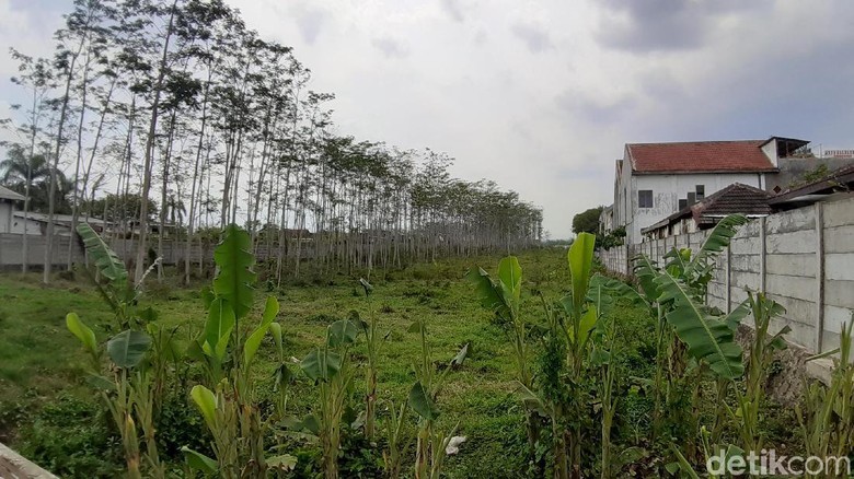 Izin Dirikan Grosir di Malang Terhambat, Perusahaan Ini Surati Presiden Izin Dirikan Grosir di Malang Terhambat, Perusahaan Ini Surati Presiden