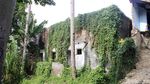 Melihat Abattoir, Rumah Jagal Hewan Peninggalan Belanda di Cimahi
