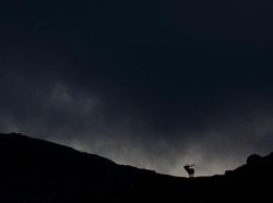 Foto Mengagumkan Pemenang Nature Photographer Of The Year 2019