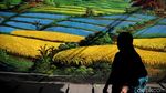 Mural Bertema Alam Hiasi Kawasan Cilincing di Utara Jakarta