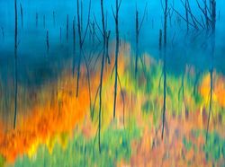 Foto Mengagumkan Pemenang Nature Photographer Of The Year 2019