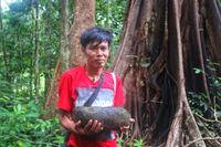 Hari Suroto yang mengangkat Batu Mawi