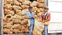 Untuk mengurangi kerugian, kelapa itu rencananya akan diolah lagi menjadi produk yang memiliki nilai jual. Apakah menjadi arang atau produk kemasan dari turunan kelapa.