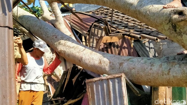 Penampakan Kerusakan Rumah Warga Akibat Angin Kencang di Pemalang Penampakan Kerusakan Rumah Warga Akibat Angin Kencang di Pemalang