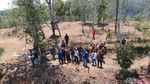 Potret Bukit Bintang di Perbatasan Brebes-Kuningan