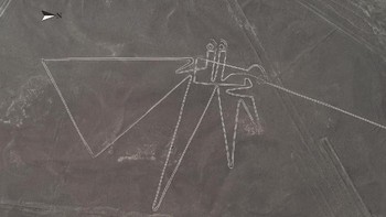 Ketika diperjelas. Sejak tahun 2006, profesor Masao Sakai dan timnya mempelajari Nazca Lines dan sejak itu menemukan lebih banyak gambar. Foto: Live Science