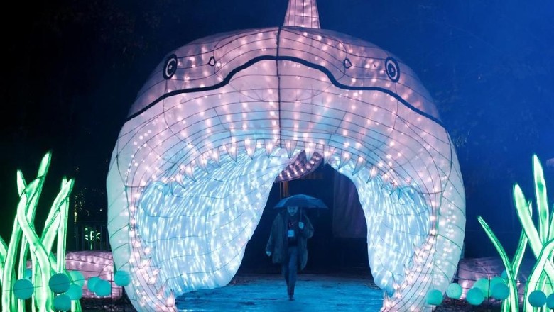 Pameran lentera di The Natural History Museum Paris (Foto: REUTERS) Pameran lentera di The Natural History Museum Paris (Foto: REUTERS)