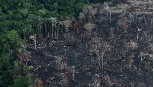 Kebakaran Hutan Brazil Ancam Keselamatan Paru-Paru Bumi