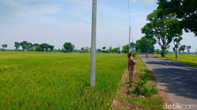 Petani di Madiun Sesalkan PLN yang Pasang Tiang Listrik Tanpa Izin Petani di Madiun Sesalkan PLN yang Pasang Tiang Listrik Tanpa Izin