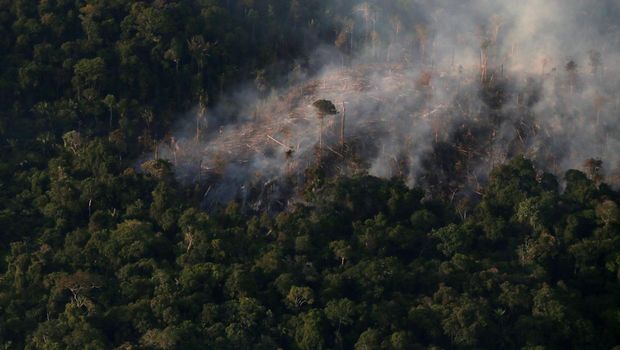 Kebakaran Hutan Amazon
