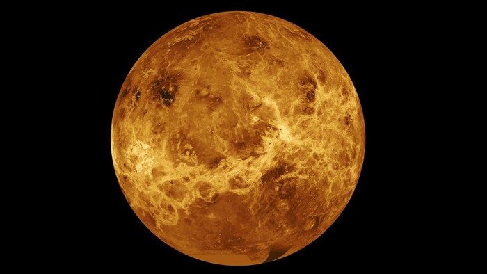 Venus