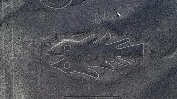 Menurut para peneliti, penduduk setempat saat itu membuatnya dengan cara mengerik tanah sedalam 30 cm. Kontur tanahnya sendiri memang cocok untuk dikerik dan bekasnya tidak akan hilang karena suhu yang panas, jarang erosi dan curah hujan yang sangat sedikit. Foto: Live Science