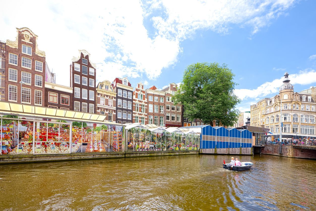 Bloemenmarkt Flower market in Amsterdam (Bloemenmarkt), wide angle: the Bloemenmarkt is the world's only floating flower market. It is sited in Amsterdam, Netherlands, on Singel between Muntplein and Koningsplein.