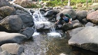 Wisata ini berkonsep alam ini dikembangkan oleh masyarakat sekitar. Mereka berkolaborasi untuk membentuk kawasan desa wisata dengan berbagai fasilitas. (Adhar Muttaqin/detikcom)