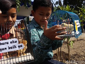Diklaim Berhasil, Program Chickenisasi Ditambah 10 Ribu Ekor Tahun Depan