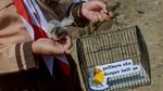 Pemkot Bandung Bagi-bagi Anak Ayam untuk Cegah Kecanduan Gadget