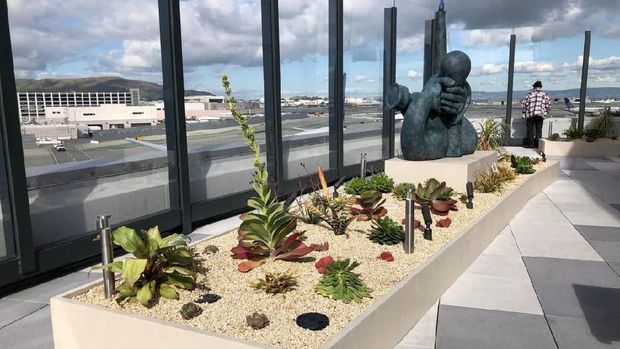(San Francisco Airport)