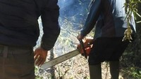 Berdasarkan hasil survei, maka pendakian Gunung Semeru masih ditutup sampai dengan pemberitahuan selanjutnya. Kebijakan tersebut semata-mata atas pertimbangan keselamatan dan kenyamana pengunjung itu sendiri (Foto: BBTNBTS/Instagram)