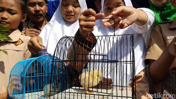 Pemkot Bandung Mulai Chickenisasi Cegah Pelajar Kecanduan Gadget