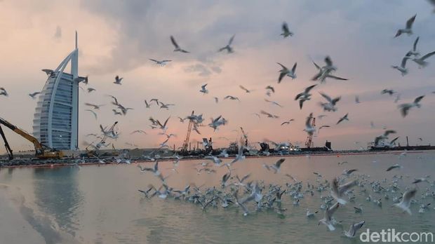 Pantai Jumaerah Burj Al Arab