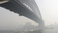 Kabut asap yang menyelimuti kawasan Sydney tersebut berasal dari kebakaran hutan yang melanda sebagian wilayah Australia lainnya. Rick Rycroft/AP Photo.