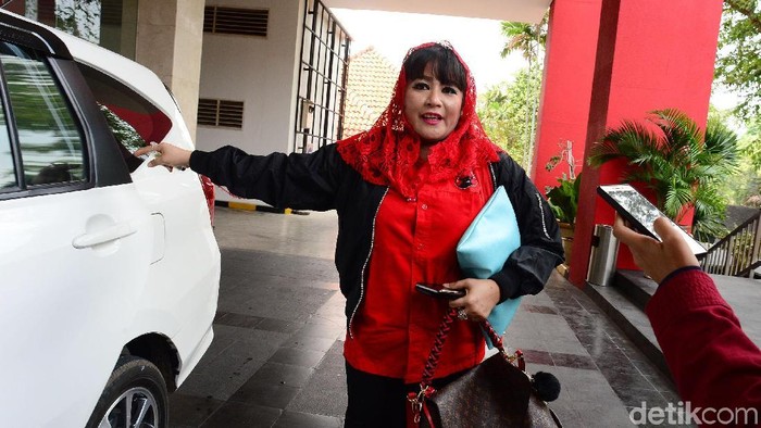 Foto: Dewi Tanjung. (Ari Saputra-detikcom)