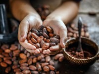 5 Fakta Industri Cokelat Dunia yang Bernilai Triliunan