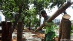 Asyik, Taman di Tomang Ini Akan Dilengkapi Rumah Pohon