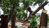 Petugas dari Sudin Kehutanan Jakarta Barat memotong batang kayu yang akan digunakan untuk membuat rumah pohon.