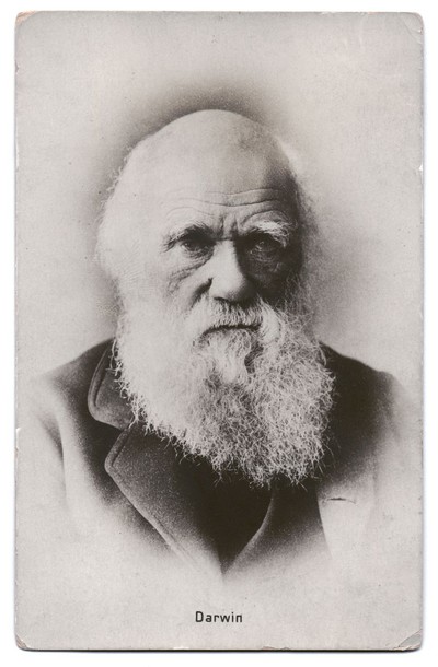 Charles darwin что открыл