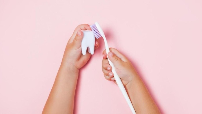 1049203490 Childs hands holding big tooth and toothbrush on pink backgroubd. Healty care teeth concept. Top view, flat lay. Copy space for your text.
