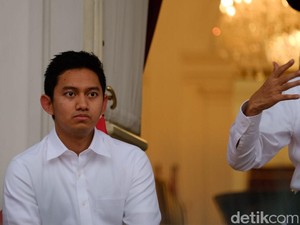 Belva, Bos Ruangguru yang Jadi Stafsus Milenial Jokowi