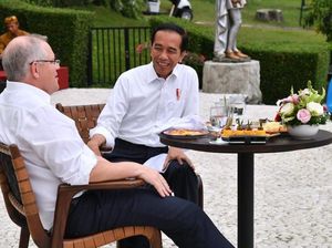 Jokowi hingga Ahok, Para Politisi yang Doyan Banget Minum Wedang