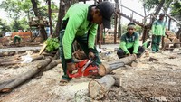 Rumah pohon yang sedang dibuat ini berkapasitas 10 orang.