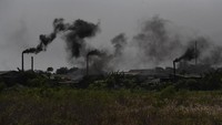 Menurut Kepala Dinas LHK Sidoarjo Sigit Setyawan Sigit sebenarnya menurut peraturan yang ada, membakar sampah plastik dilarang karena hasil dari pembakaran tersebut mencemari lingkungan dan mengganggu kesehatan. Ia pun mengatakan akan berkoordinasi dengan Kementerian Lingkungan Hidup untuk mencari solusi terkait sampah plastik tersebut.