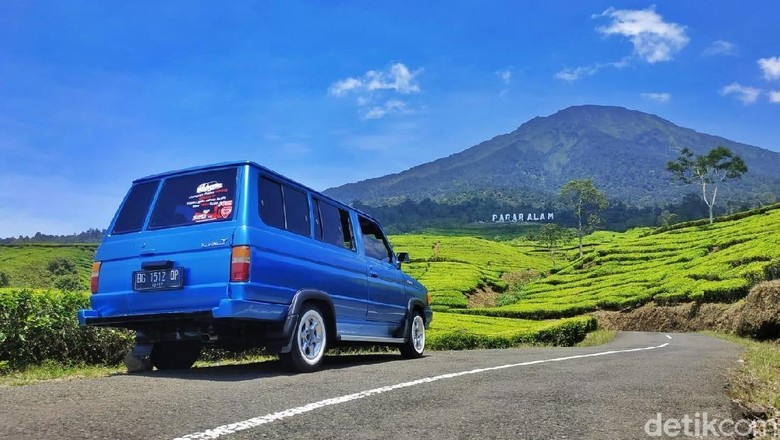 Gunung Dempo Ditutup Gegara Harimau Berkeliaran Gunung Dempo Ditutup Gegara Harimau Berkeliaran