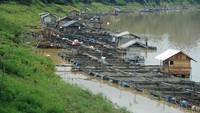 Hasil panen di lokasi ini bahkan mencapai lebih dari 20 ribu ton per tahun dan dipasarkan ke sejumlah daerah.