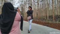 Kondisi pohon yang lurus dan berjajar rapi menjadi daya tarik bagi masyarakat. Di era teknologi, sekali foto diunggah di media sosial, membuat pesonanya jadi cepat tersebar. (Dadang Hermansyah/detikcom)