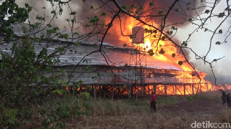 Kompleks Kandang Ayam Terbakar, 2 Damkar dan Water Cannon Diterjunkan Kompleks Kandang Ayam Terbakar, 2 Damkar dan Water Cannon Diterjunkan
