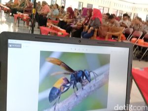 Waspadai Sengatan Tawon Vespa, Dinkes DKI Sebar Edaran ke Puskesmas
