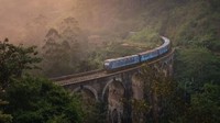 Ini adalah nine arch bridge di Sri Lanka yang sudah banyak dikenal oleh para wisatawan. Banyak wisatawan yang memotret jembatan terkenal ini, tapi Lee berhasil mendapat hasil foto yang berbeda dari wisatawan lainnya. (Lee Mumford)