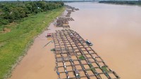 Muarojambi yang sebagian wilayahnya dialiri Sungai Batanghari merupakan sentra budi daya ikan air tawar Provinsi Jambi.