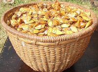 Tumis Serangga Berbau Tajam Jadi Makanan Favorit Warga Desa di China