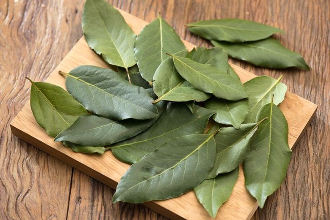 Kaya Khasiat! Ini 5 Teh Berbahan Daun Salam hingga Daun Kelor