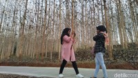 Banyak muda mudi yang datang ke kebun jati tersebut. Ada juga yang foto pre-wedding dan bikin video untuk content creator. (Dadang Hermansyah/detikcom)