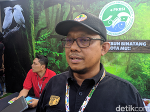 BKSDA DKI Bimbing Milenial Jaga Ekosistem Mangrove