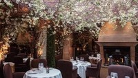 Restoran tercantik lainnya berlokasi di Inggris. Berkonsep romantis dengan pohon berbunga sebagai dekorasi, Clos Maggiore pernah masuk ke daftar restoran paling romantis tahun 2016 lho!