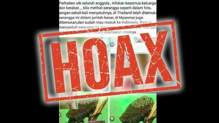 Hoax Serangga Misterius Bikin Tangan Bolong Nggak Kuat Jangan Lihat