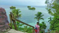 Pulau Biak merupakan sebuah pulau karang yang berada di Papua. Pulau ini terpisah dari pulau Papua Daratan. Letaknya berada di Teluk Cendrawasih. Melati Raya Sihotang/dTraveler  