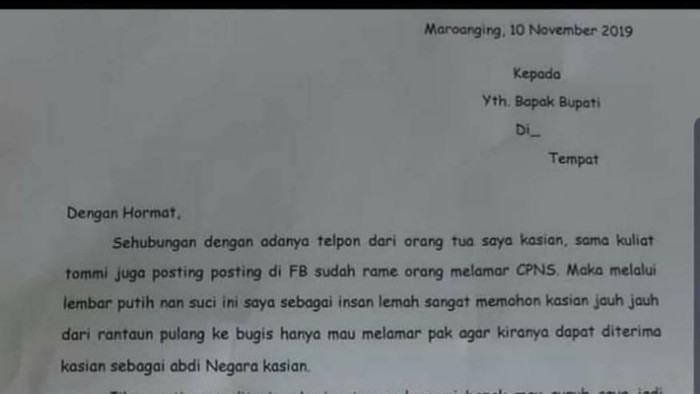 Ramai Di Medsos Pemuda Sulsel Surati Bupati Mohon Diterima Jadi Cpns